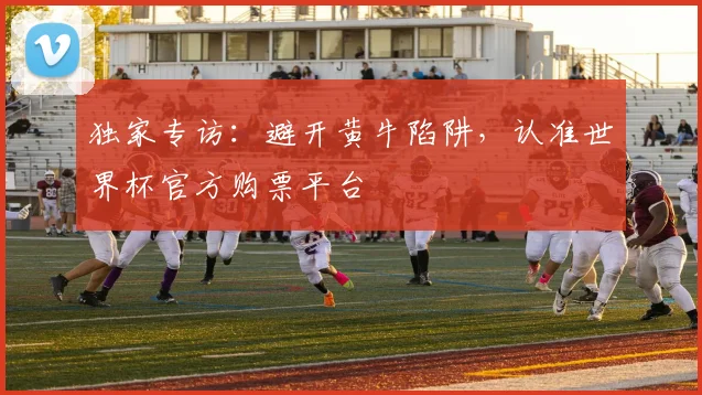 独家专访：避开黄牛陷阱，认准世界杯官方购票平台